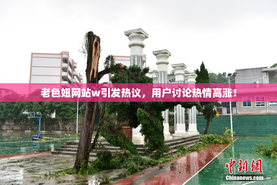老色妞网站w引发热议，用户讨论热情高涨！