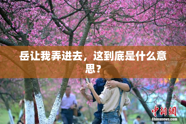 岳让我弄进去，这到底是什么意思？