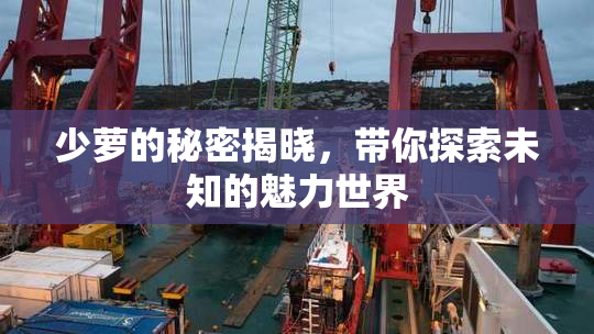 少萝的秘密揭晓，带你探索未知的魅力世界