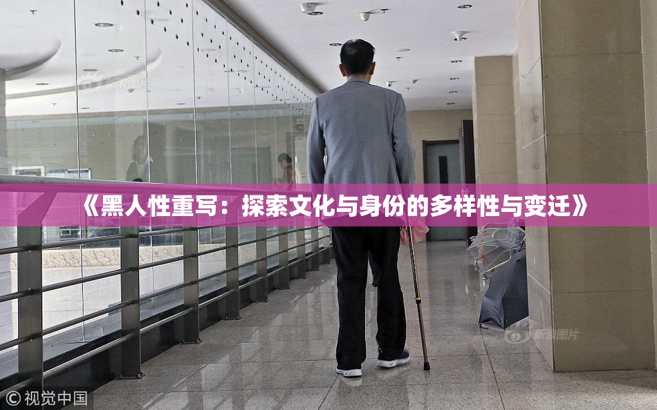 《黑人性重写：探索文化与身份的多样性与变迁》