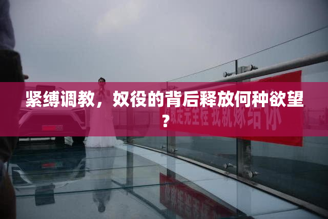 紧缚调教，奴役的背后释放何种欲望？