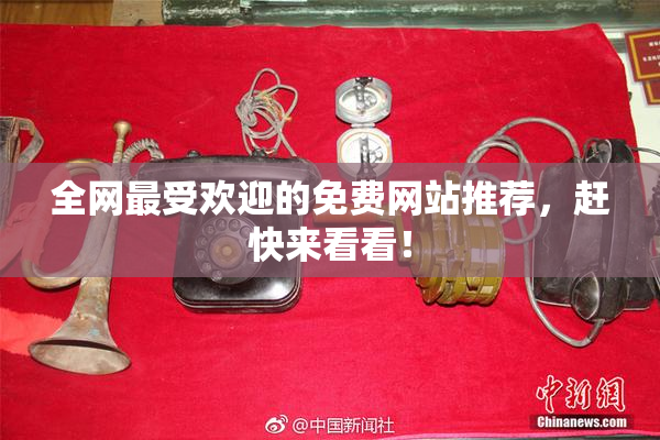 全网最受欢迎的免费网站推荐，赶快来看看！
