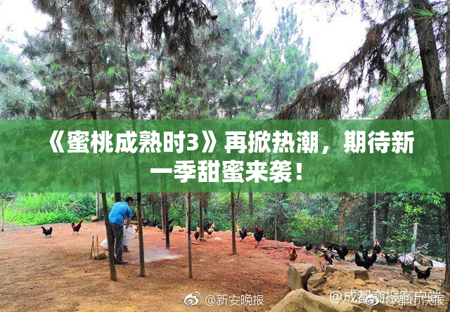 《蜜桃成熟时3》再掀热潮，期待新一季甜蜜来袭！