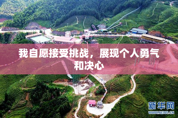 我自愿接受挑战，展现个人勇气和决心