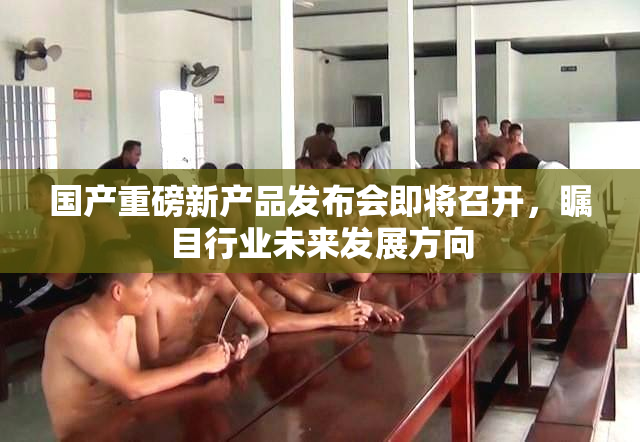 国产重磅新产品发布会即将召开，瞩目行业未来发展方向