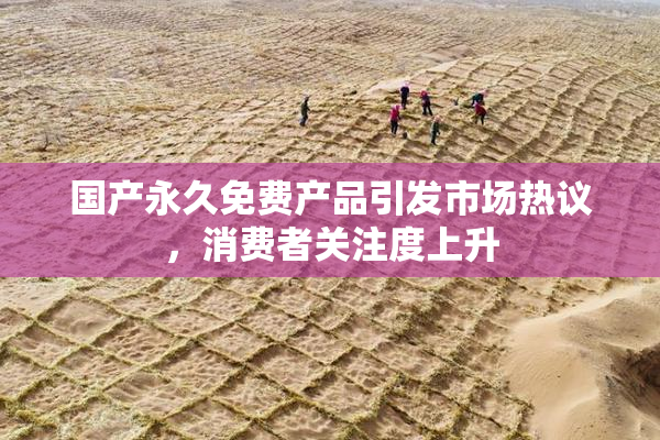 国产永久免费产品引发市场热议，消费者关注度上升