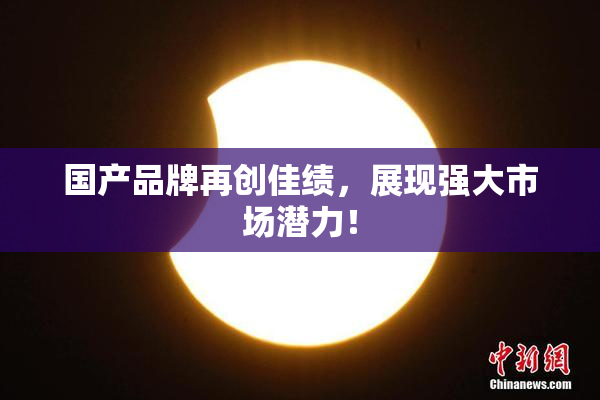 国产品牌再创佳绩，展现强大市场潜力！