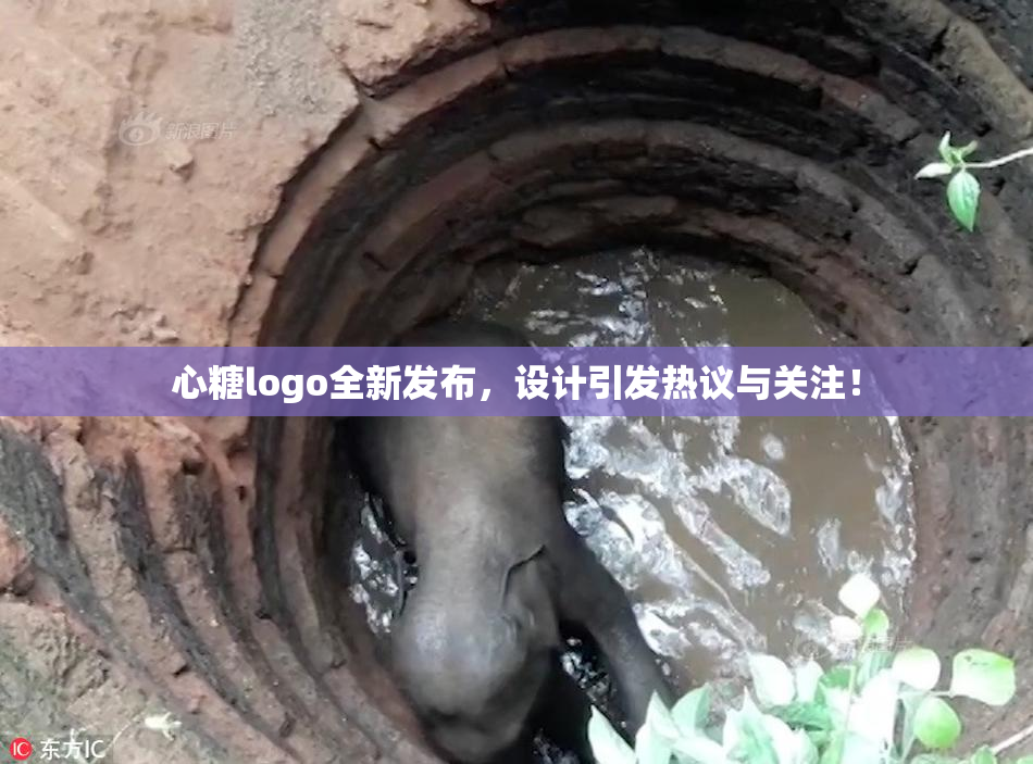 心糖logo全新发布，设计引发热议与关注！