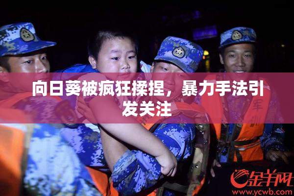 向日葵被疯狂揉捏，暴力手法引发关注