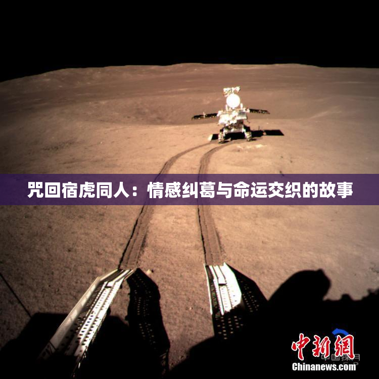 咒回宿虎同人：情感纠葛与命运交织的故事