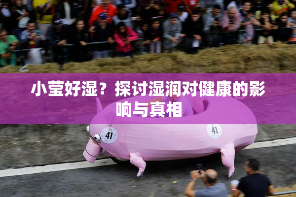 小莹好湿？探讨湿润对健康的影响与真相