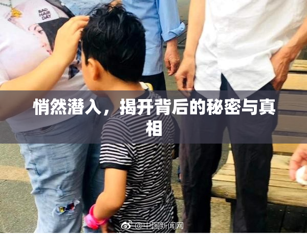 悄然潜入，揭开背后的秘密与真相