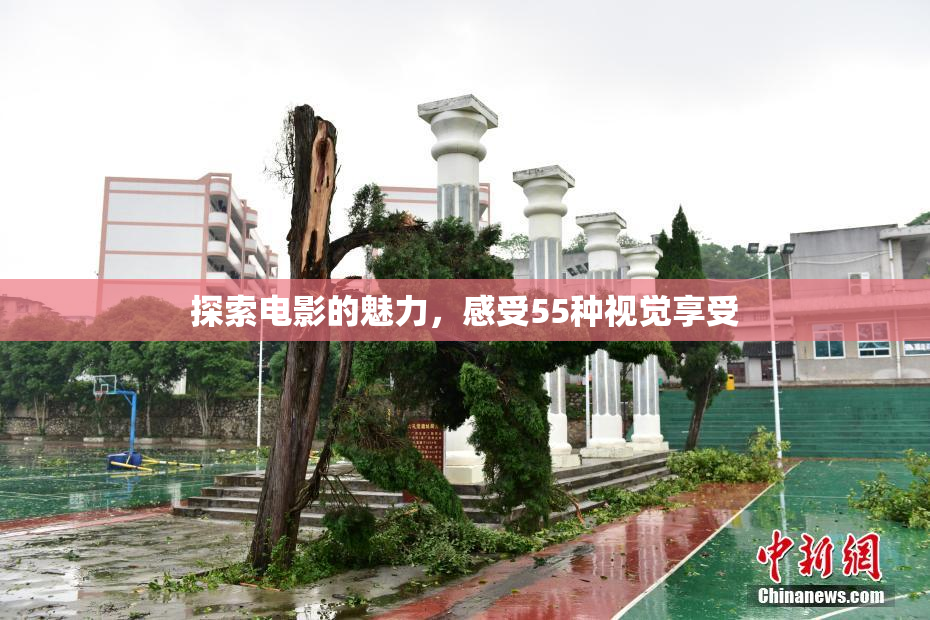 探索电影的魅力，感受55种视觉享受