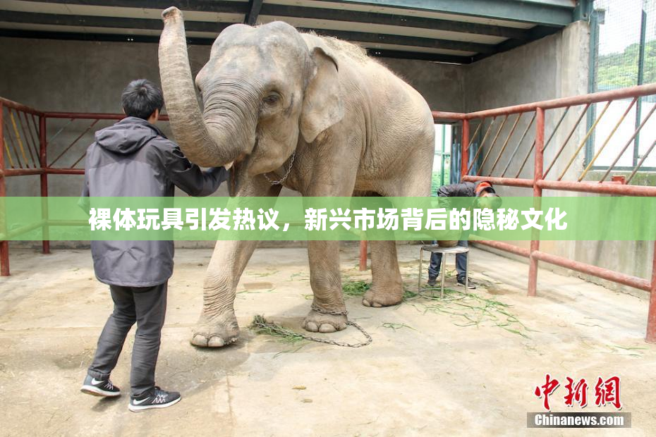 裸体玩具引发热议，新兴市场背后的隐秘文化