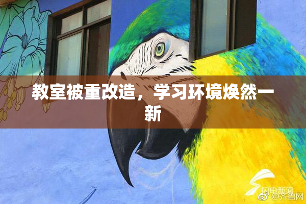 教室被重改造，学习环境焕然一新