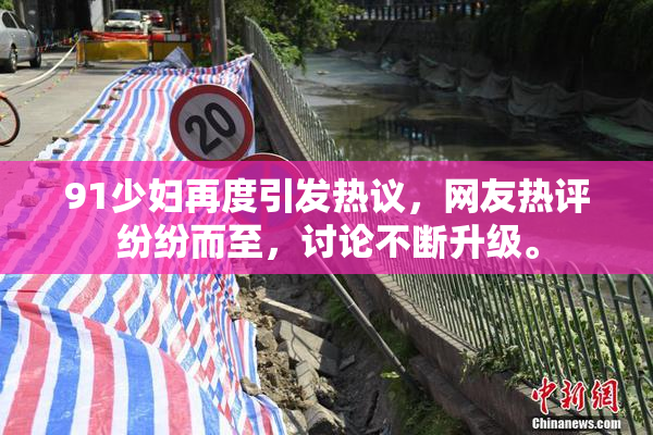 91少妇再度引发热议，网友热评纷纷而至，讨论不断升级。