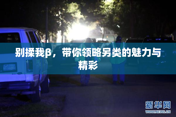 别揉我β，带你领略另类的魅力与精彩