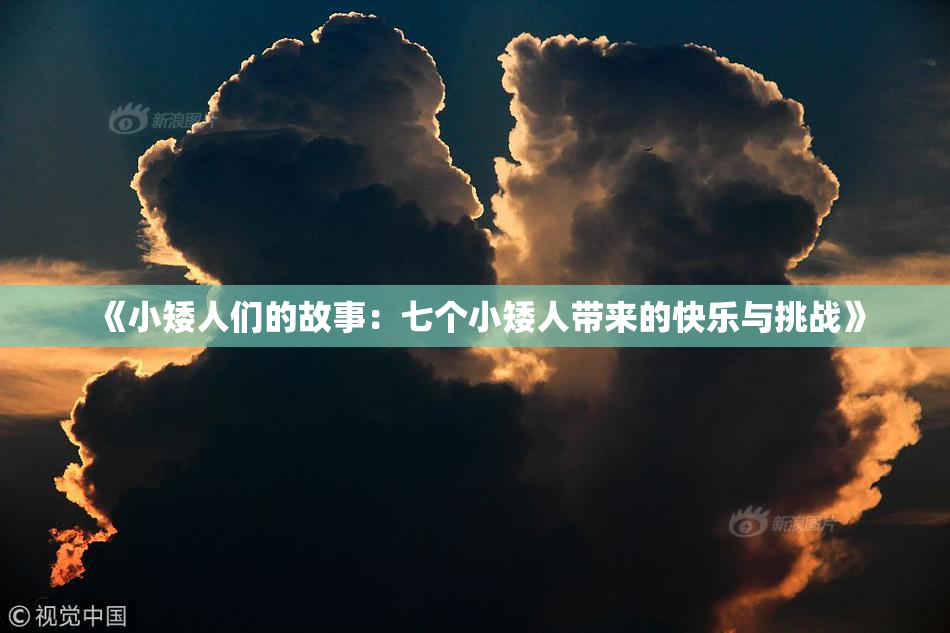 《小矮人们的故事：七个小矮人带来的快乐与挑战》