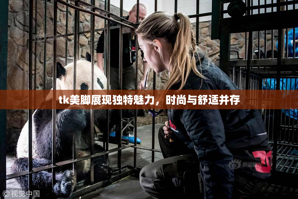 tk美脚展现独特魅力，时尚与舒适并存