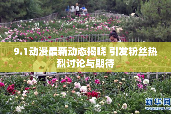 9.1动漫最新动态揭晓 引发粉丝热烈讨论与期待