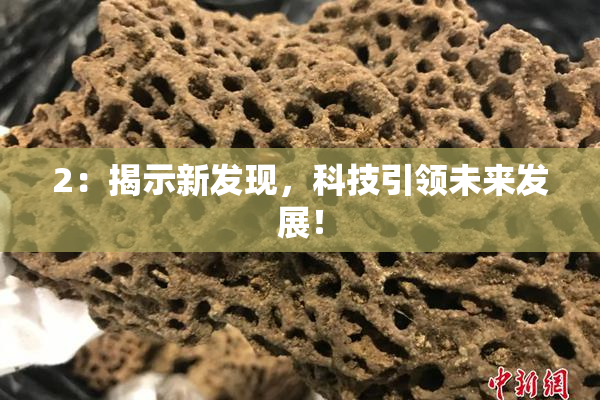 2：揭示新发现，科技引领未来发展！