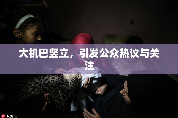 大机巴竖立，引发公众热议与关注