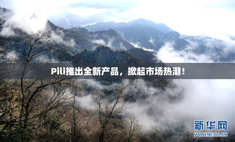 Pili推出全新产品，掀起市场热潮！