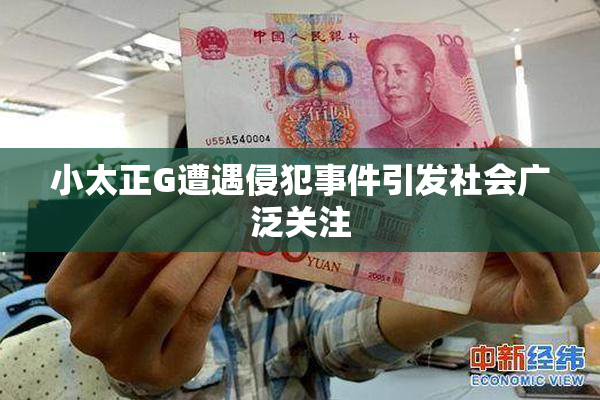 小太正G遭遇侵犯事件引发社会广泛关注
