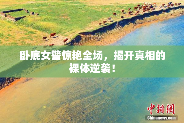 卧底女警惊艳全场，揭开真相的裸体逆袭！
