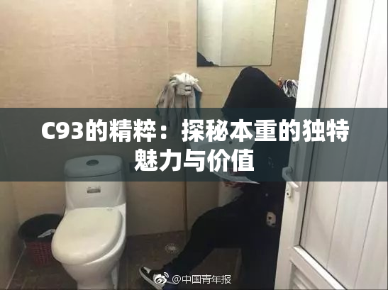 C93的精粹：探秘本重的独特魅力与价值
