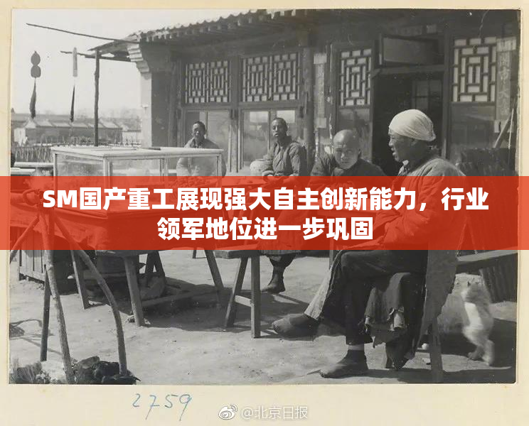 SM国产重工展现强大自主创新能力，行业领军地位进一步巩固