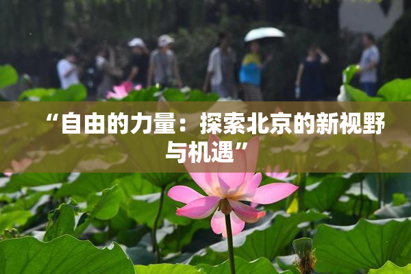 “自由的力量：探索北京的新视野与机遇”