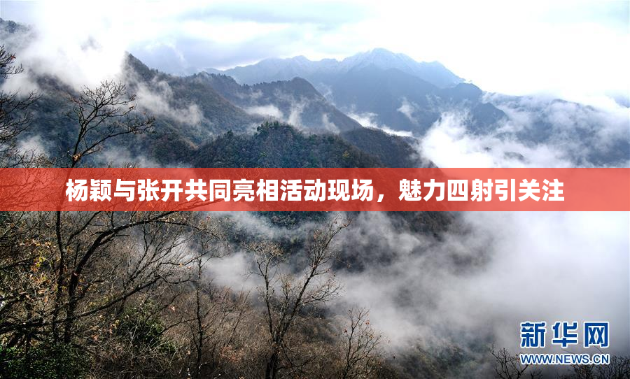 杨颖与张开共同亮相活动现场，魅力四射引关注