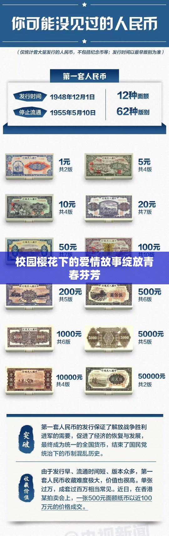 校园樱花下的爱情故事绽放青春芬芳
