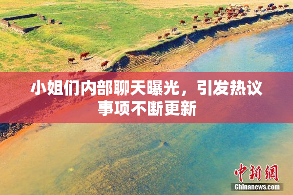 小姐们内部聊天曝光，引发热议事项不断更新