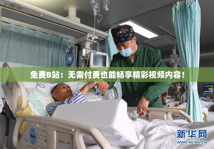 免费B站：无需付费也能畅享精彩视频内容！