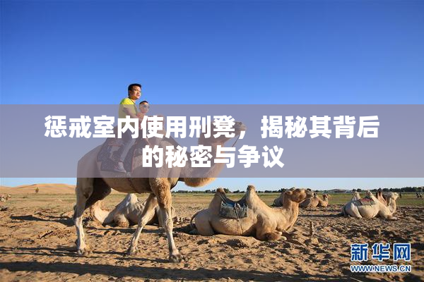 惩戒室内使用刑凳，揭秘其背后的秘密与争议