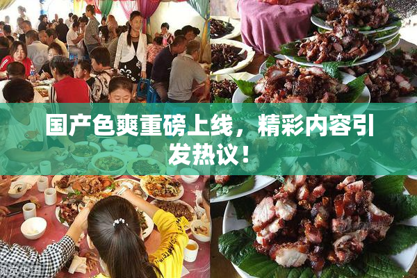 国产色爽重磅上线，精彩内容引发热议！