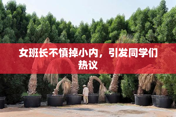 女班长不慎掉小内，引发同学们热议