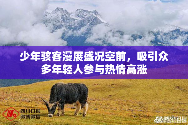 少年骇客漫展盛况空前，吸引众多年轻人参与热情高涨