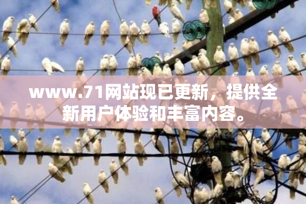 www.71网站现已更新，提供全新用户体验和丰富内容。