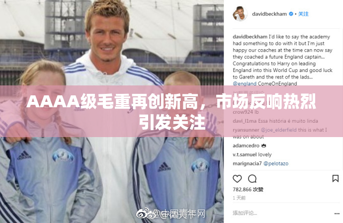 AAAA级毛重再创新高，市场反响热烈引发关注
