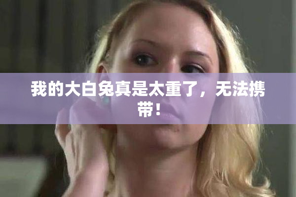 我的大白兔真是太重了，无法携带！