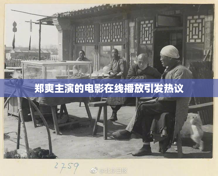 郑爽主演的电影在线播放引发热议