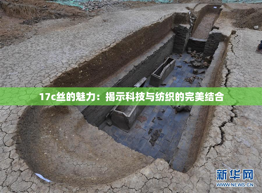 17c丝的魅力：揭示科技与纺织的完美结合