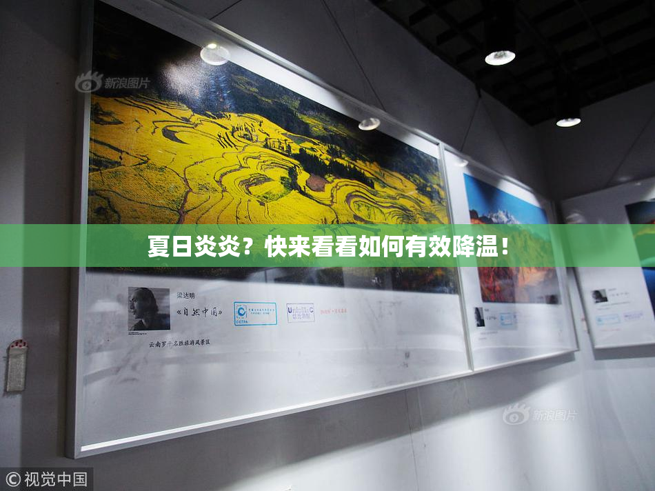 夏日炎炎？快来看看如何有效降温！