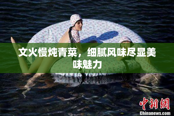 文火慢炖青菜，细腻风味尽显美味魅力