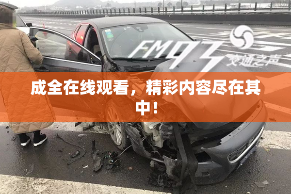 成全在线观看，精彩内容尽在其中！