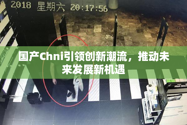 国产Chni引领创新潮流，推动未来发展新机遇