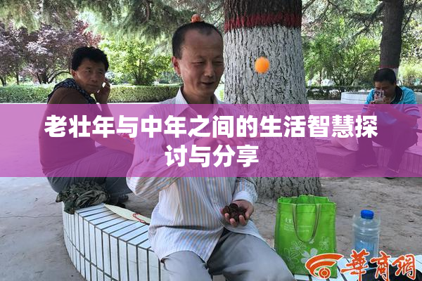 老壮年与中年之间的生活智慧探讨与分享